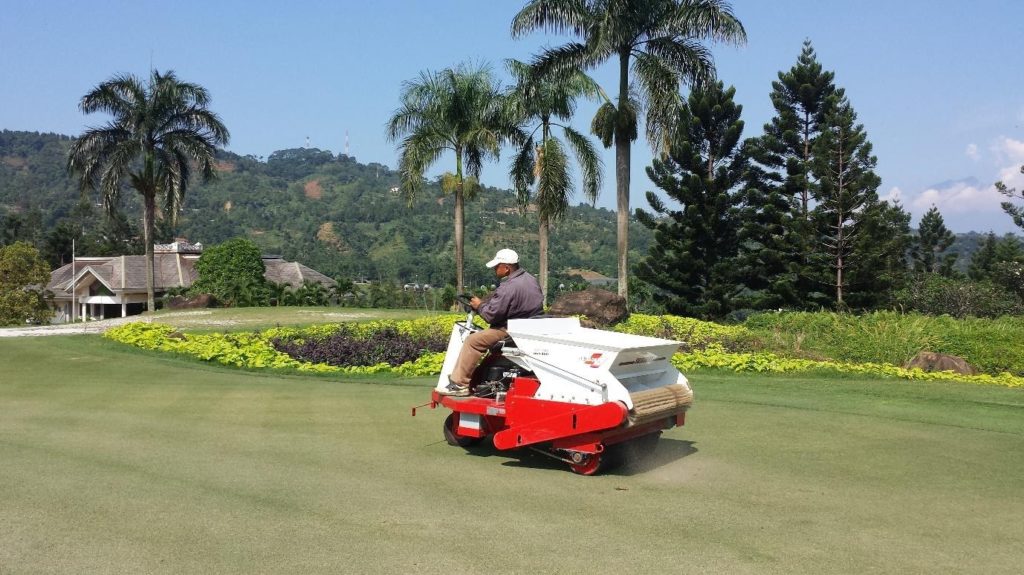 Sand topdressing for tatch control